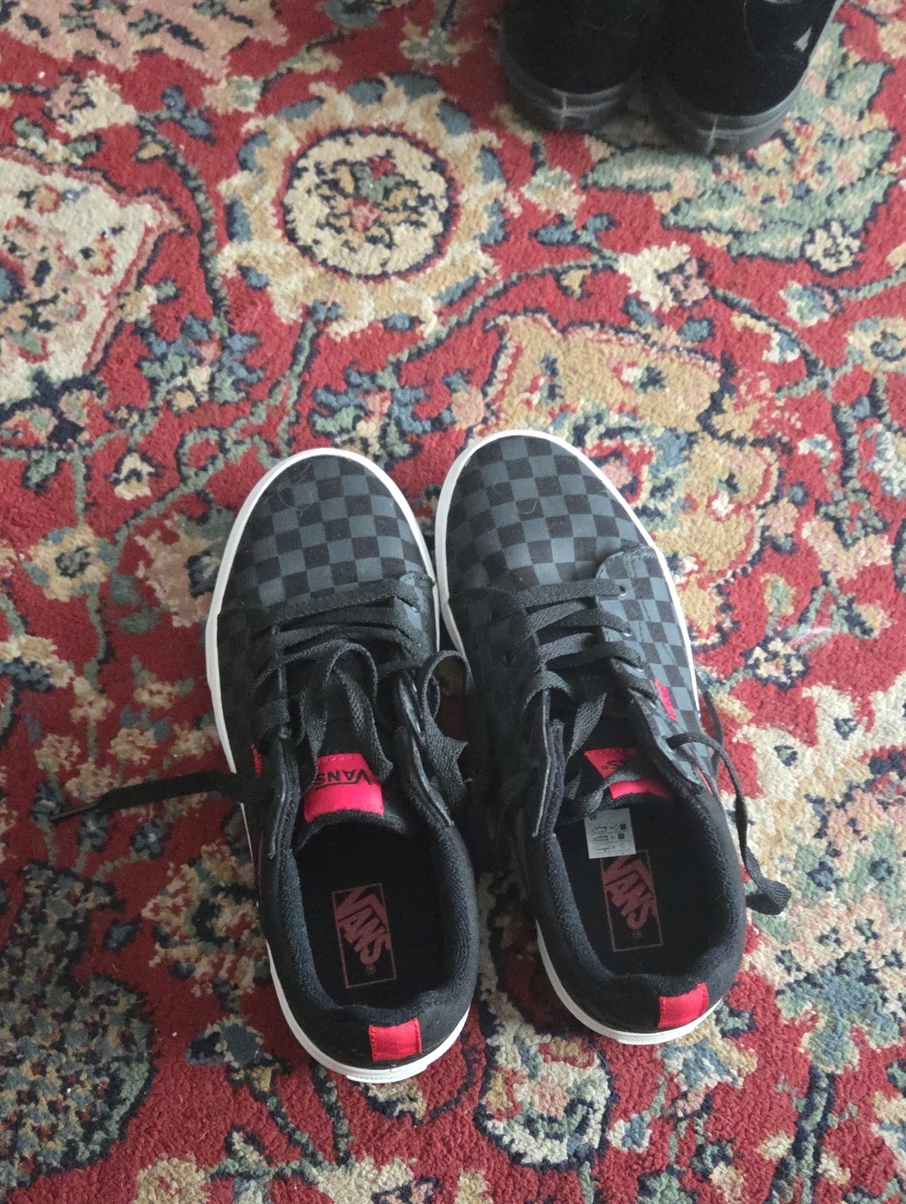 Vans Men’s Black and Gray Checkerboard Low-Top Sneakers